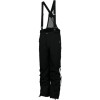 Spyder Bormio Pant - Men's