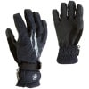 Sessions X-Ray Gore-Tex Glove - Mens