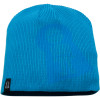 Stepchild Snowboards Logo Beanie