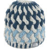 The North Face Polar Beanie