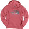 The North Face Drew Peak Hoody - Girls'