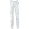 The North Face Citation Softshell Pant - Women's