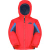 The North Face Out of Bounds Insulated Jacket