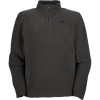 The North Face TKA 100 Texture Lone Pine 1/4-Zip Top - Men's