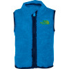 The North Face Plushee Vest