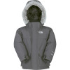 The North Face McMurdo Down Parka - Toddler Boys'