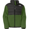 The North Face Denali Down Jacket
