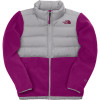 The North Face Denali Down Jacket