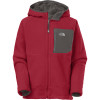 The North Face Chimborazo Hoodie