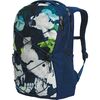 Summit Navy Abstract Floral Print/Shady Blue
