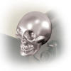 Yakima Limited Edition Chrome Skull End Caps