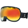 Zeal Level Goggle