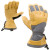 Black Diamond Patrol Glove
