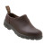 See Walnut Blundstone 500 Series Clog - Women's