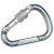 CAMP USA Picto Screw Gate Carabiner