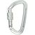 CAMP USA Orbit Screw Gate Carabiner