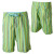 DC Zebra Board Short - Men's