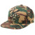 Dragon Homeplate Icon Ball Cap