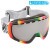 Dragon Rogue Goggle
