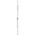 Fischer Vision Skate Ski - Women's