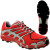 Inov  8 Roclite 312 GTX Trail Running Shoe - Men's