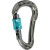 Mammut Bionic Mytholito Screwgate Carabiner