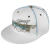 Oakley Blurred New Era Cap