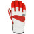 See Red/White Pow Gloves Royal Glove - Men's