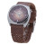 See Chocolate Rip Curl Sierra Watch