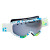 Smith Phenom Goggle