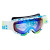 Smith Phenom Goggle