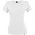 The North Face Vaporwick Featherlight Crew Shirt - Short Sleeve - Women's