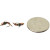 Umpqua Quasimodo Pheasant Tail - 2-Pack&nbsp;Scale
