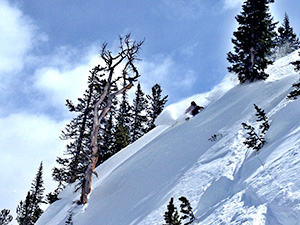 Bear tooth Mountains Skiing Bear tooth Mountains Skiing