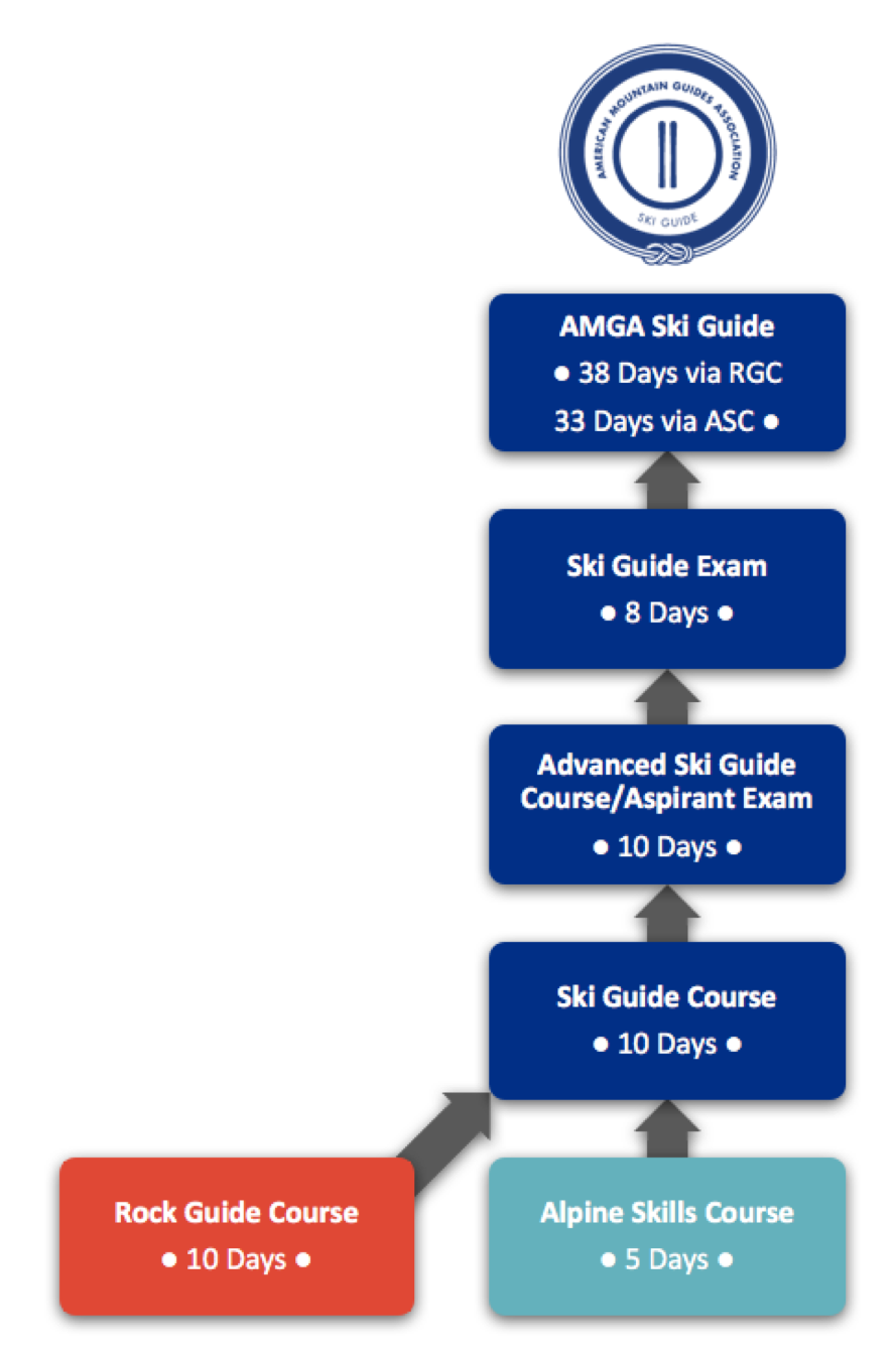 Flowchart about courses and certifications to become an AMGA