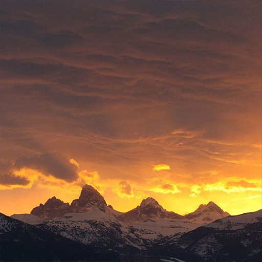 Mountain hardwear discount coupons