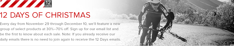 12 Days of Christmas Sale