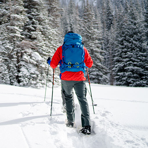 BC 2017.02 Winter Hike and Snowshoe