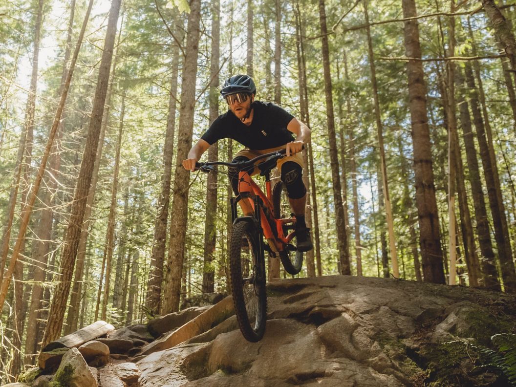 A mountain bike rider in a brightly lit forest rolls over some rocks.