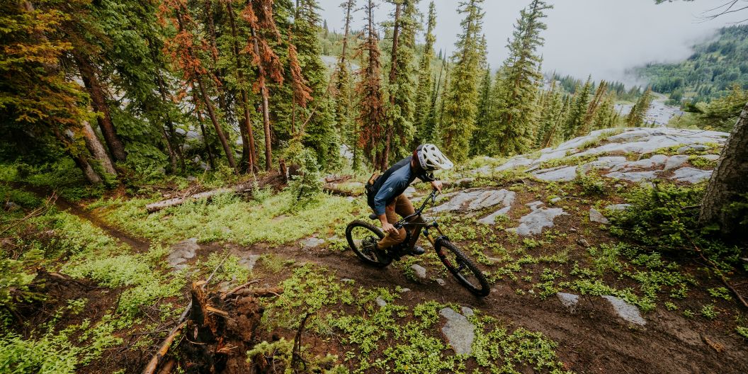 Mountain biker pedaling up a trail in dense pine trees. 