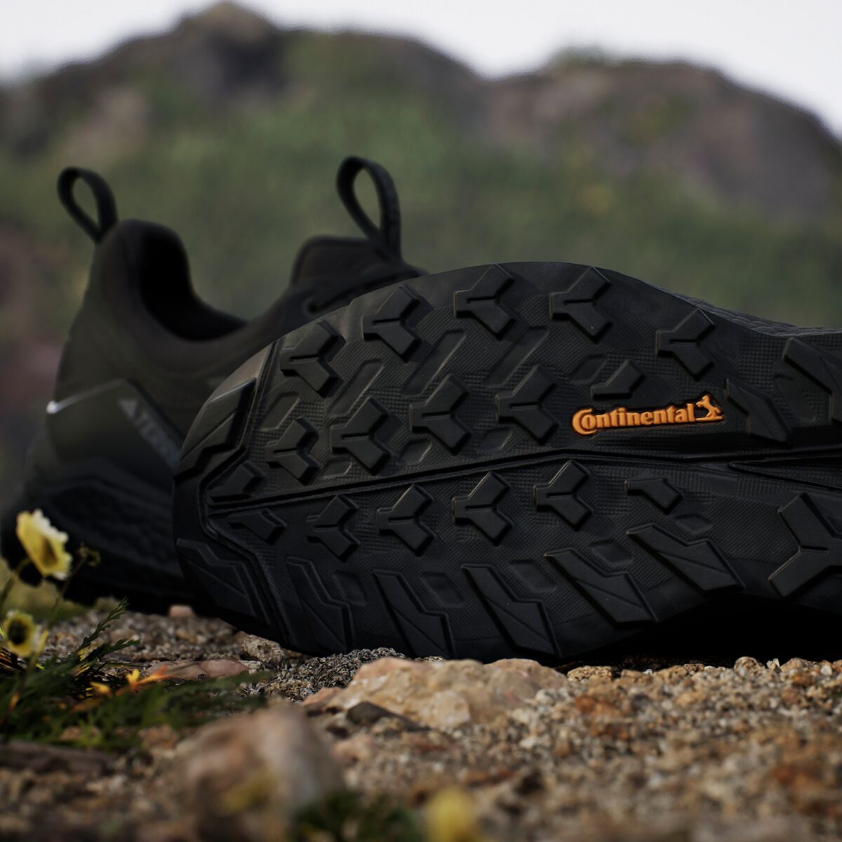 Adidas TERREX Terrex Free Hiker 2 Low GTX Shoe - Men´s