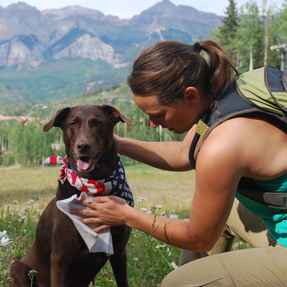 Adventure Medical Kits Adventure Dog Wipes
