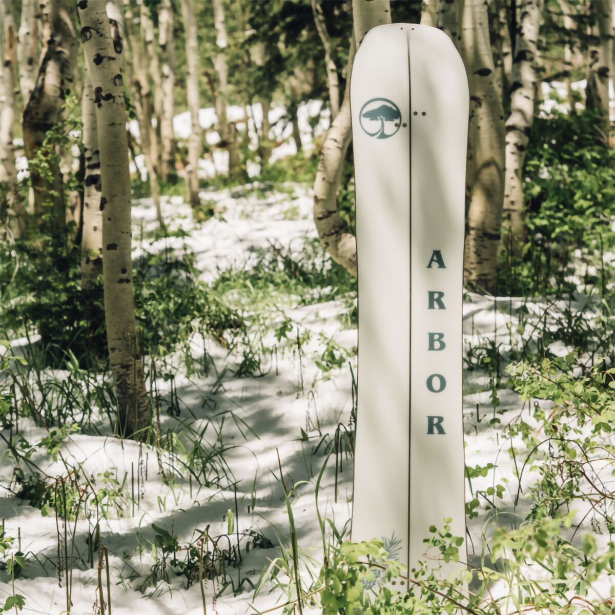 arbor swoon 2018