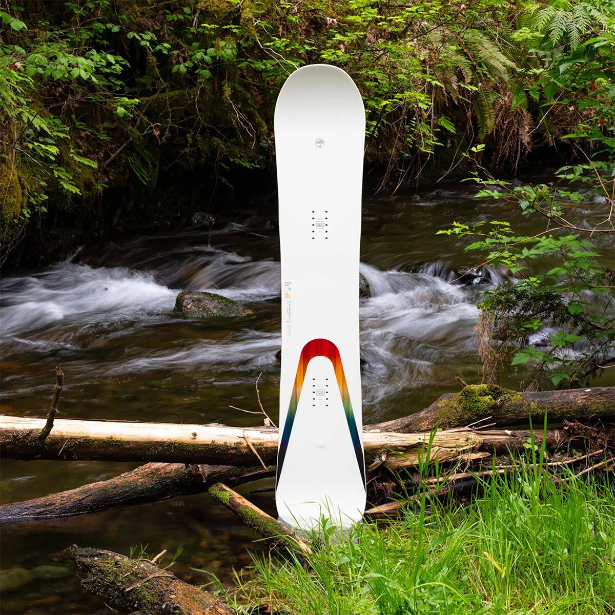 arbor poparazzi rocker