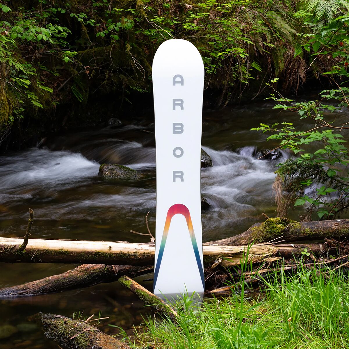 arbor poparazzi rocker