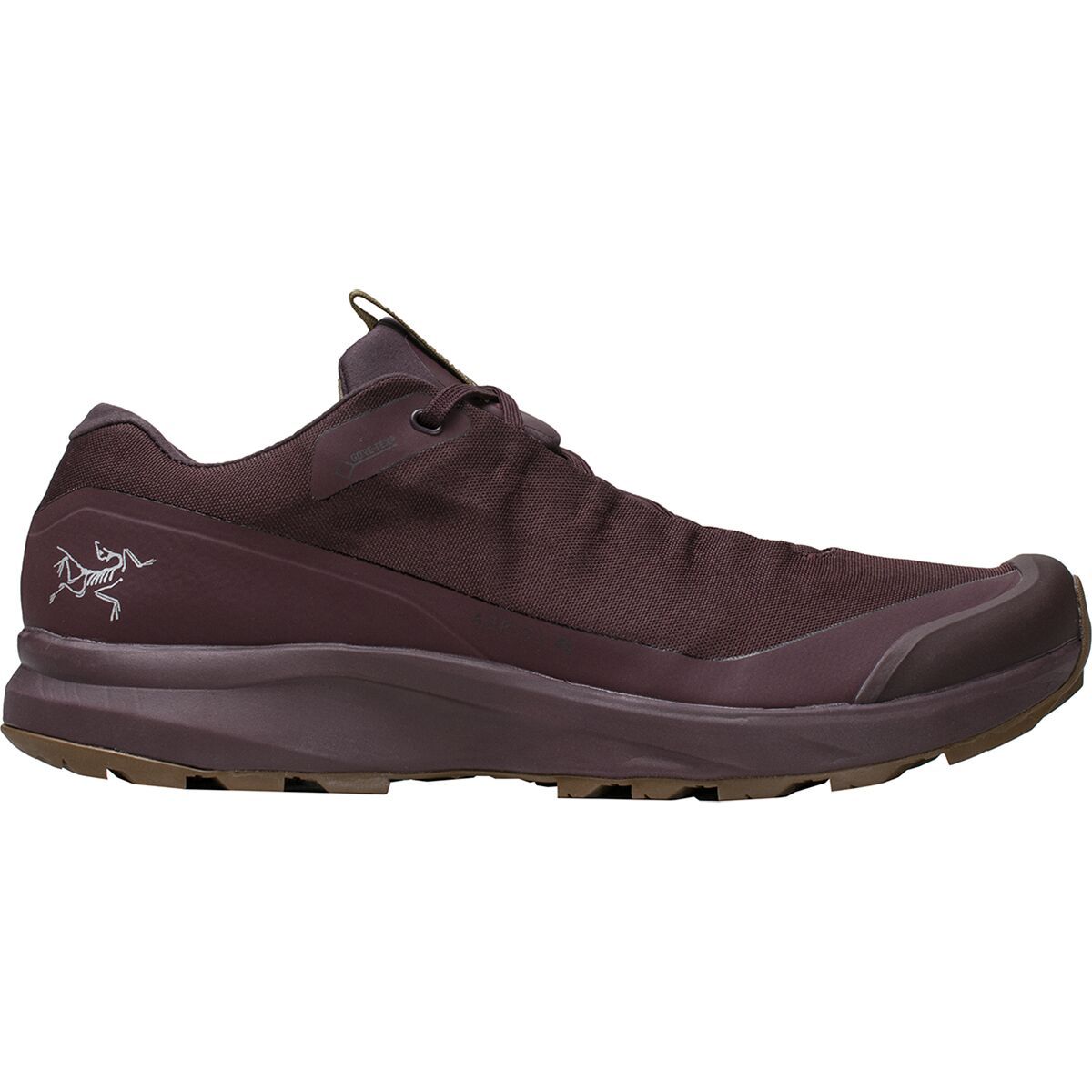 Arc�teryx Aerios FL GTX Hiking Shoe Men�s