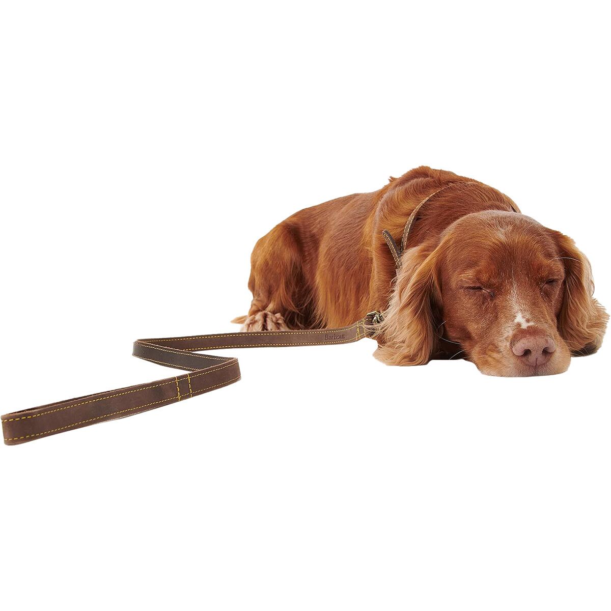 Barbour Leather Dog Lead