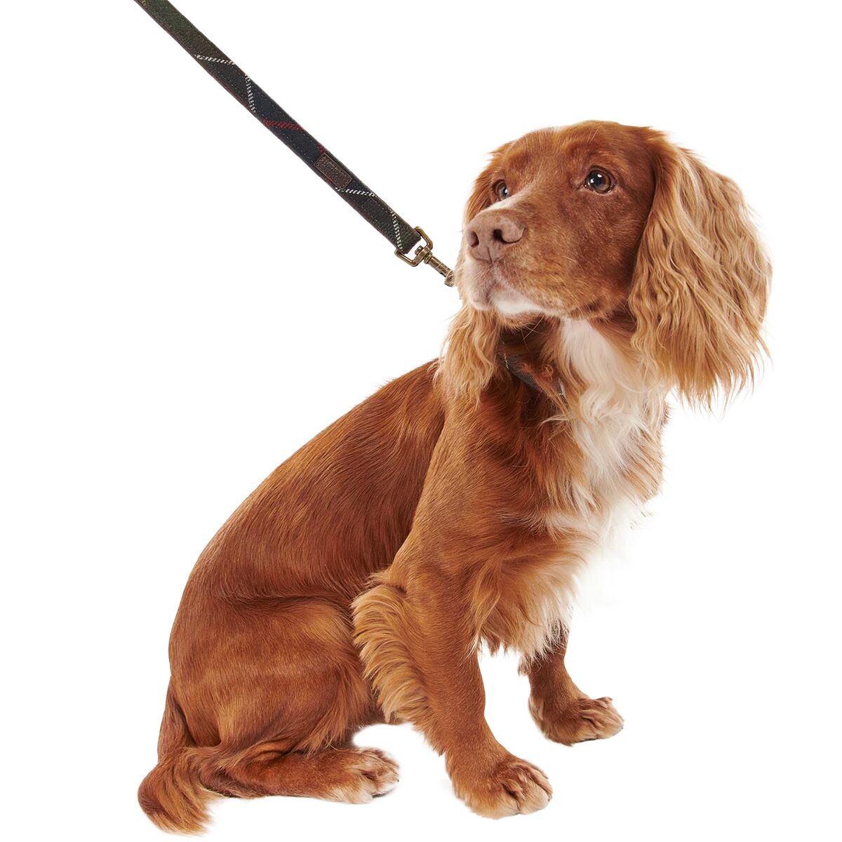 Barbour Tartan Dog Lead