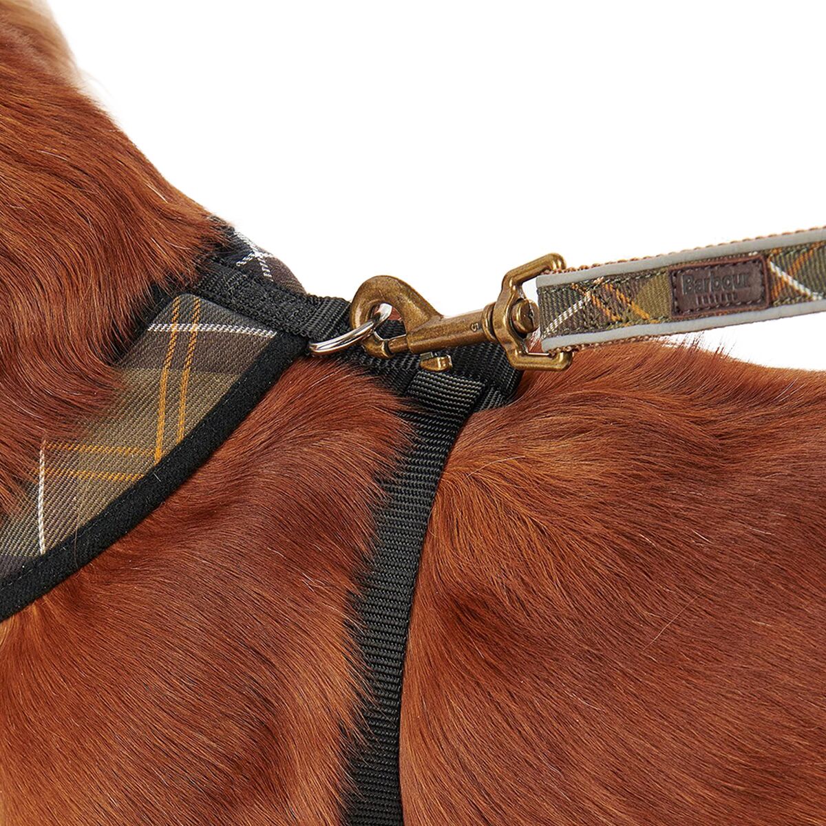 Barbour Tartan Dog Harness