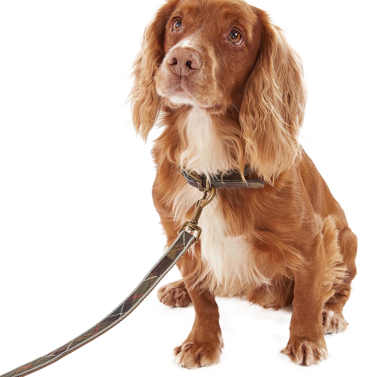 Barbour Reflective Tartan Dog Lead